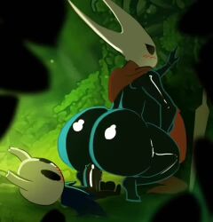Hornet & Protagonist (Hollow Knight) Rule 34 Video