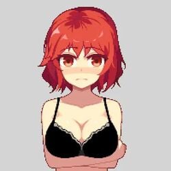 Raiko Horikawa (Touhou) Rule 34 Video – Blush