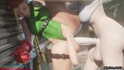 Cammy White & Juri Han (Street Fighter) Rule 34 Video