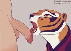 Master Tigress (Dreamworks) Rule 34 Video – Anthro