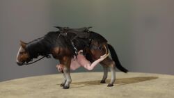 1animal Ass Rule 34 Video