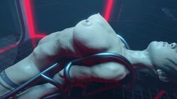 Lara Croft & Lara Croft (Tomb Raider) Rule 34 Video