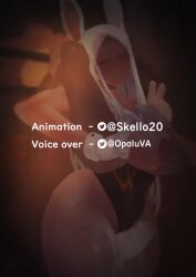 Mirko & Miruko (Boku No Hero Academia) Rule 34 Video
