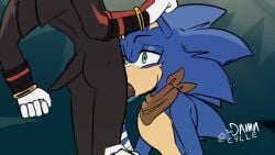 Shadow The Hedgehog & Sonadow (Sonic) Rule 34 Video