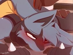 Houndoom & Lucario (Pokemon) Rule 34 Video – Anal