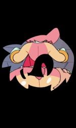 Amy Rose (Sega) Rule 34 Video – Anal