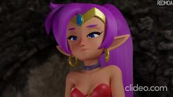 Shantae Rule 34 Video – Armpit Fetish
