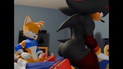 Miles Prower & Shadow The Hedgehog (Sega) Rule 34 Video