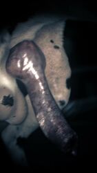 Rule 34 Animation – POV by Srvn
