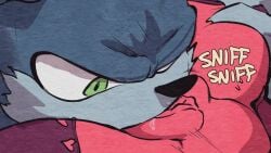 Amy Rose & Little Red Riding Hood (Fairy Tales) Rule 34 Video