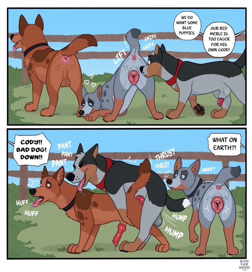 Anal Anatomically Correct Rule 34