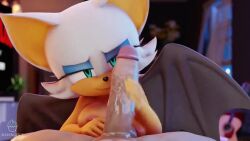 Rouge The Bat & Rouge The Bat (Sega) Rule 34 Video