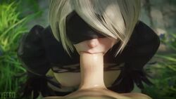 Anon & Yorha 2b (Nier) Rule 34 Video – Big Penis
