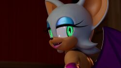 Rouge The Bat & Rouge The Bat (Sonic) Rule 34 Video