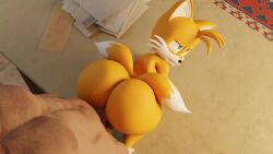 Aiden & Miles Tails Prower (Original) Rule 34 Video