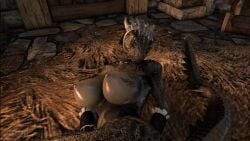 Argonian & Dovahkiin (Bethesda Softworks) Rule 34 Video