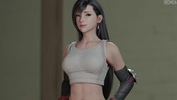 Tifa Lockhart (Dissidia) Rule 34 Video – Abs