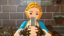 Princess Zelda & Zelda (Nintendo) Rule 34 Video