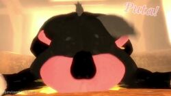 Amy Rose & Amy Rose (Corona) Rule 34 Video – 3d.a