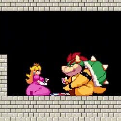 Bowser & Koopa (Mario) Rule 34 Video – Anthro