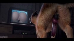 Sadako Yamamura The Ring Rule 34 – Doggy Style 3D Animation