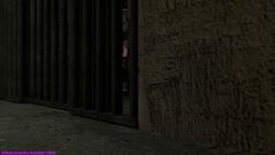Harley Quinn & Harley Quinn (Arkham Asylum) Rule 34 Video