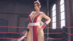 Mai Shiranui (Fatal Fury) Rule 34 Video – Anus