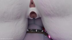 Loona & Loona (Five Nights At Freddy's) Rule 34 Video