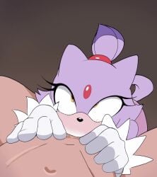Blaze The Cat (Sega) Rule 34 Video – Anthro On Human