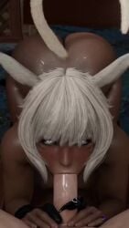 Adventurer & Miqo'te (Final Fantasy) Rule 34 Video