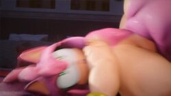Amy Rose & Amy Rose (Sega) Rule 34 Video – Accessory