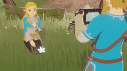 Link & Link (Breath Of The Wild) Rule 34 Video