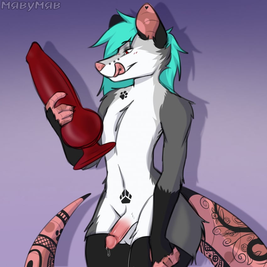 American Opossum Anthro Rule 34