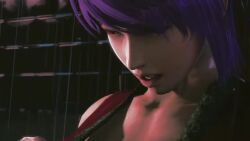 Ayane & Honoka (Dead Or Alive) Rule 34 Video – Ass