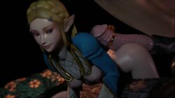 Princess Zelda & Zelda (Tears Of The Kingdom) Rule 34 Video