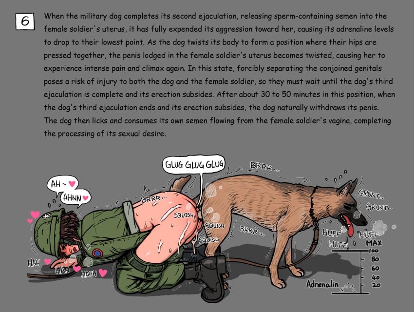 Beastiality Canine Rule 34