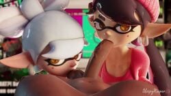 Callie & Callie (Nintendo) Rule 34 Video – Areola
