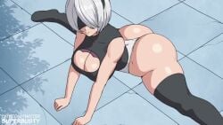 Yorha 2b & Yorha 9s (Nier) Rule 34 Video – Ass