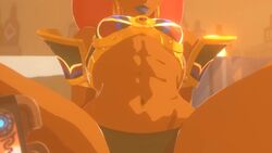 Gerudo & Link (Breath Of The Wild) Rule 34 Video