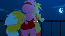 Amy Rose & Miles Prower (Sega) Rule 34 Video – 2 Tails